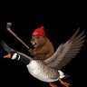 Profilbild von WestCoastCanadian