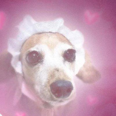 EroShvi 𐔌՞𖦹ᯅ𖦹՞𐦯ᶻ 𝗓 𐰁.ᐟ's profile picture