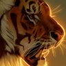 Profilbild von Momo It