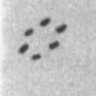 Profilbild von German UFOs of World War II