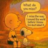 N🛡️ profil fotoğrafı