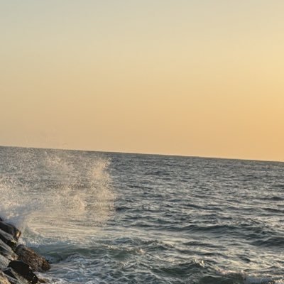 دب لدب's profile picture