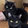 Фото профиля たーな🐈⬛🐈@MAKOTO🎞️🚗
