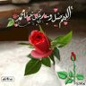 Profilbild von احمد عبدالحافظ
