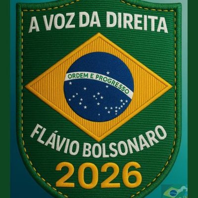 Fuz. Naval🇧🇷🇮🇱Patriota🇧🇷#PATRIOTAS💛💚🩵🤍's profile picture