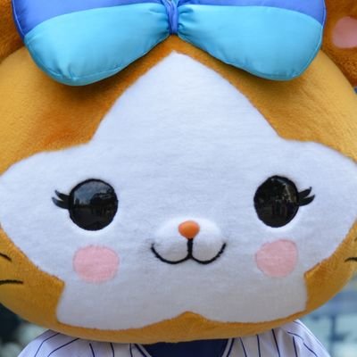 butcher_met's profile picture