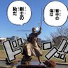大和撫子 的头像