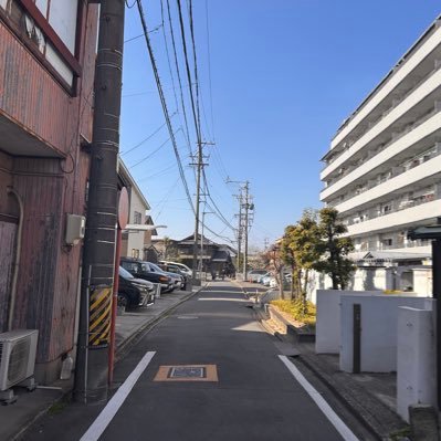midorikunagoya's profile picture