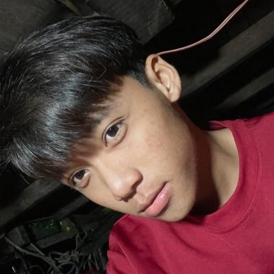 Anh Tú's profile picture