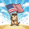 宋歌 Song 🇺🇸's profile picture