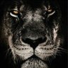 GodsRathUponthee🔥✝️🇺🇸's profile picture