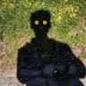 Profilbild von Brisket
