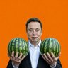 Фото профиля MelonMusk