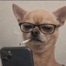 Profilbild von Wheeler Blaq
