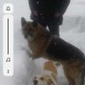 Şerafettin Ertekin🇹🇷 profil fotoğrafı