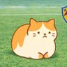 Фото профиля 寄り目CAT
