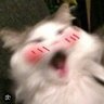 Profilbild von พอพอด้อมแตก
