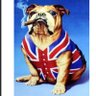 Фото профиля British Bulldog🇬🇧