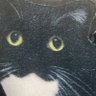 どかん profil fotoğrafı