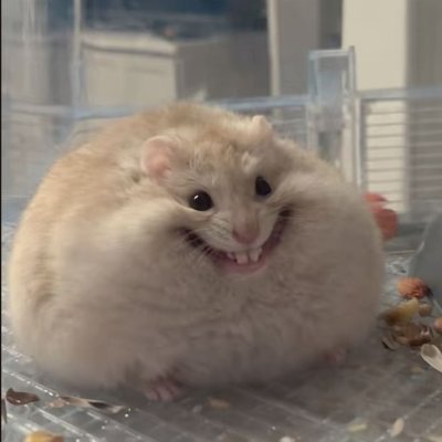 indifference's profile picture
