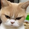Billu🇮🇳 的头像