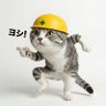 白虎 profil fotoğrafı