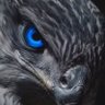 𝓐𝓢 profil fotoğrafı