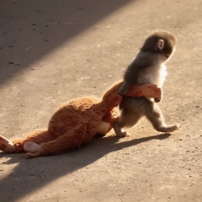هرمیون ویزلی's profile picture