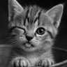 Фото профиля Burcu💦