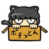 ポチっとん@本当のルーキー祭り2026秋に参加中's profile picture