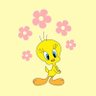 𑣲newgirlᯓᰔ's profile picture