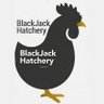 MotherCluckers 的头像