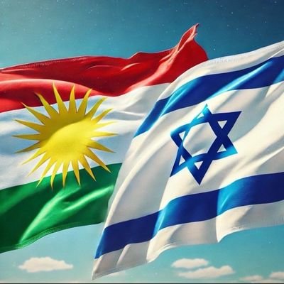 זאקסו כורדיסטן's profile picture