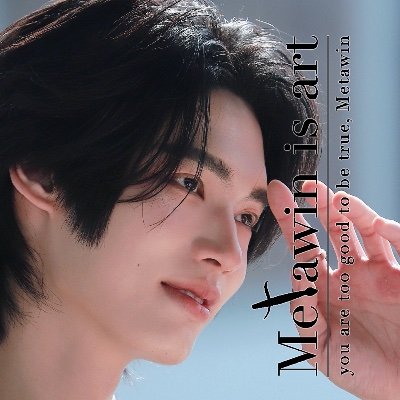 Metawin_is_art's profile picture