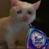 Profilbild von Depressed poradu