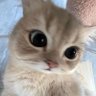 วอเตอร์สวีท✨'s profile picture