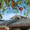 Фото профиля zhangfan青衫