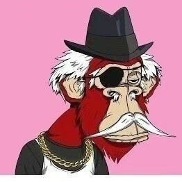 花花's profile picture