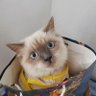 Profilbild von Mae 메이