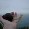 snail snail snail snail snail snail snail sn's profile picture