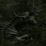 Nykko Young's profile picture