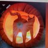 Chris Jenson's profile picture