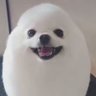 Profilbild von user2523456