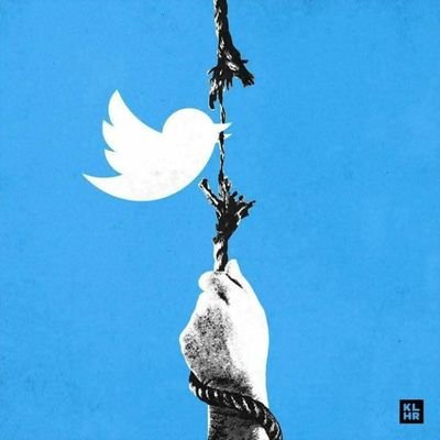 Caglayan_Kitap's profile picture