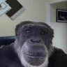 Profilbild von Utku