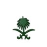 Great Saudia 🇸🇦 profil fotoğrafı