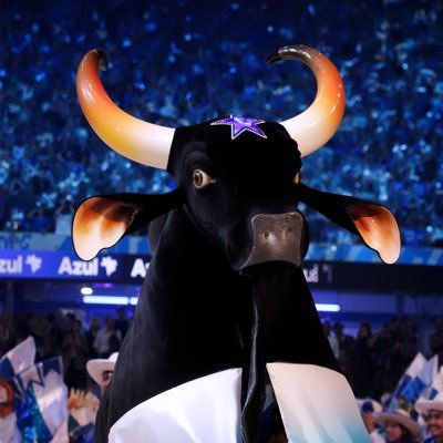 boicaprichoso's profile picture