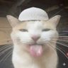 Fatah 🚀🍁 的头像