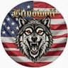 Blindwolf 🇺🇸's profile picture