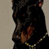 Dawgfuu profil fotoğrafı